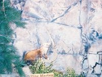 photos 2000-200901328